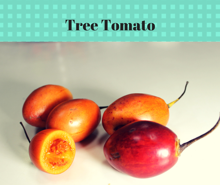 Ooty Tree Tomato